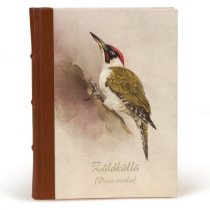 Félbőrkötésű notesz - Zöldküllő