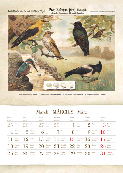 Madarak 2013-as naptár