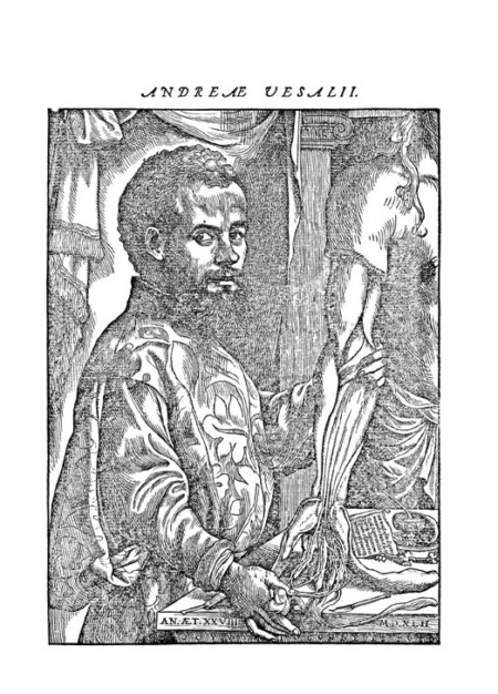 Andreas Vesalius portré