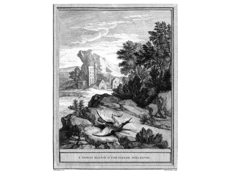 Jean de La Fontaine : A nyíl sebzette madár