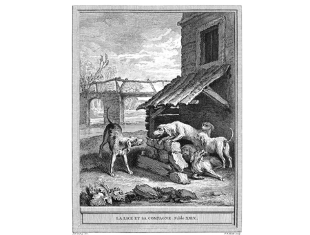 Jean de La Fontaine : A nősténykutya és pajtásnője